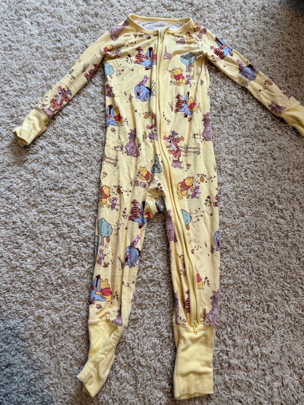 Winnie The Pooh Zippy little sleepies